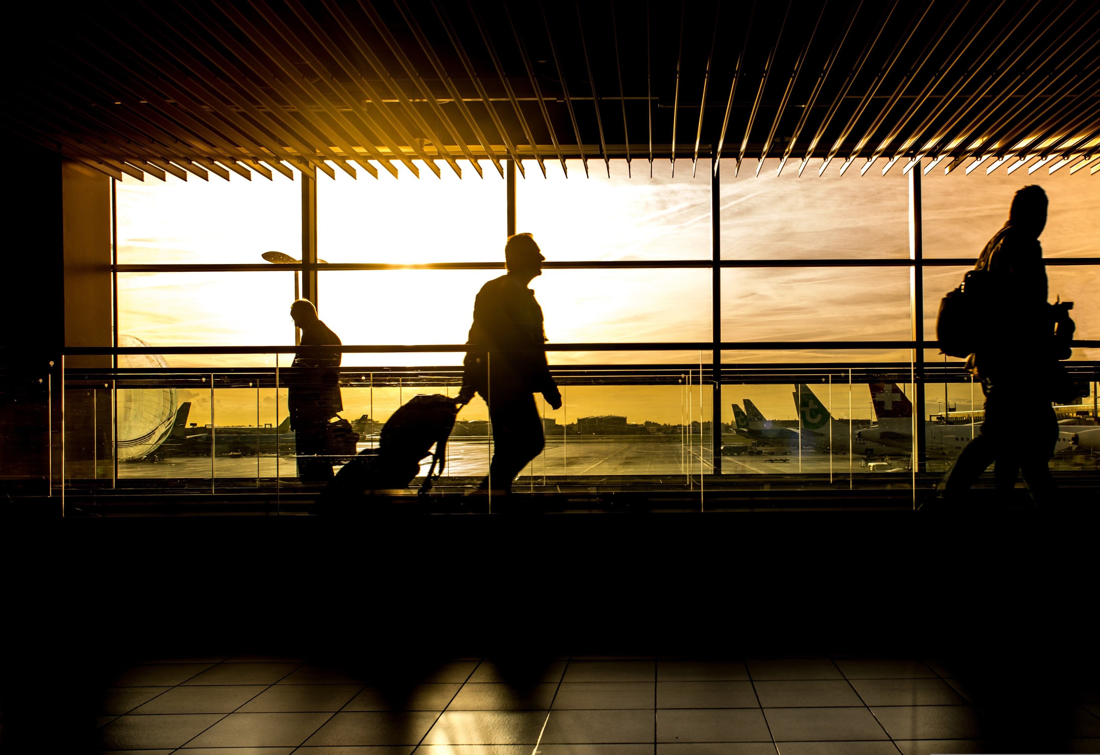 WANTED: Global Adventure Officer